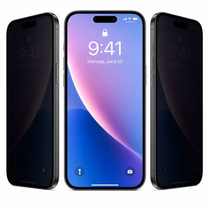 Privacy Screen